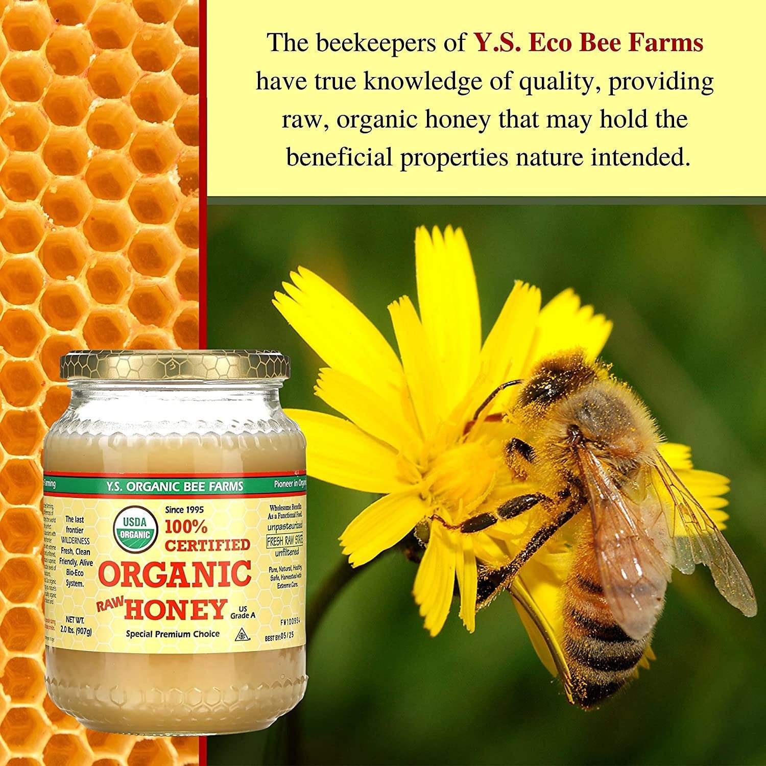 Y.S. Organic Bee Farms, 100% Certified Y.S. Organic Raw Honey, Unpasteurized, Unfiltered, Fresh Raw State, Kosher, Pure, Natural, Healthy, Safe, Gluten Free, Harvested with Extreme Care, 2 Lb (6)