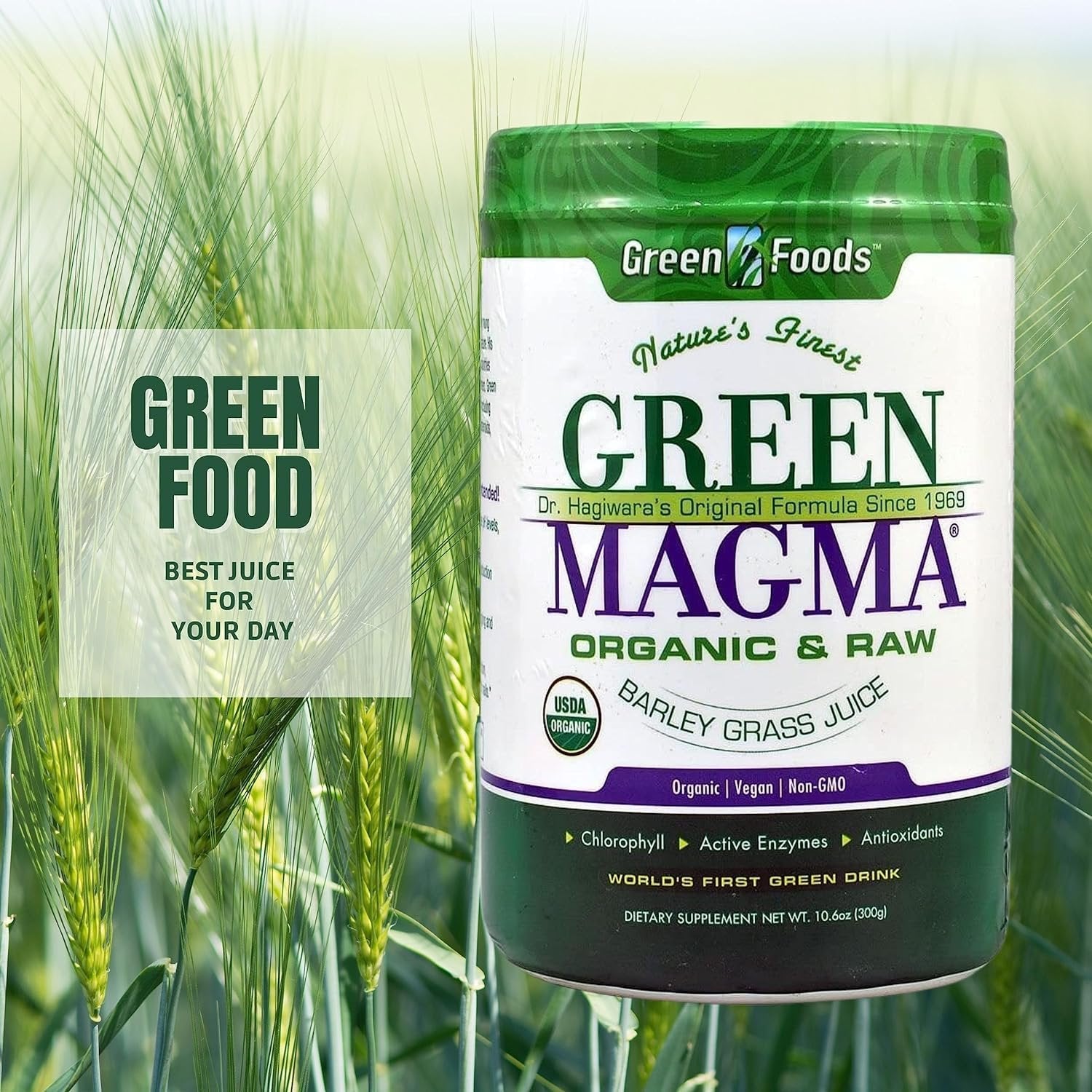 Green Foods Green Magma Organic and Raw - Barley Grass Juice Powder - Digestive Health - 10.6 oz - Pack of 1 with Keychain