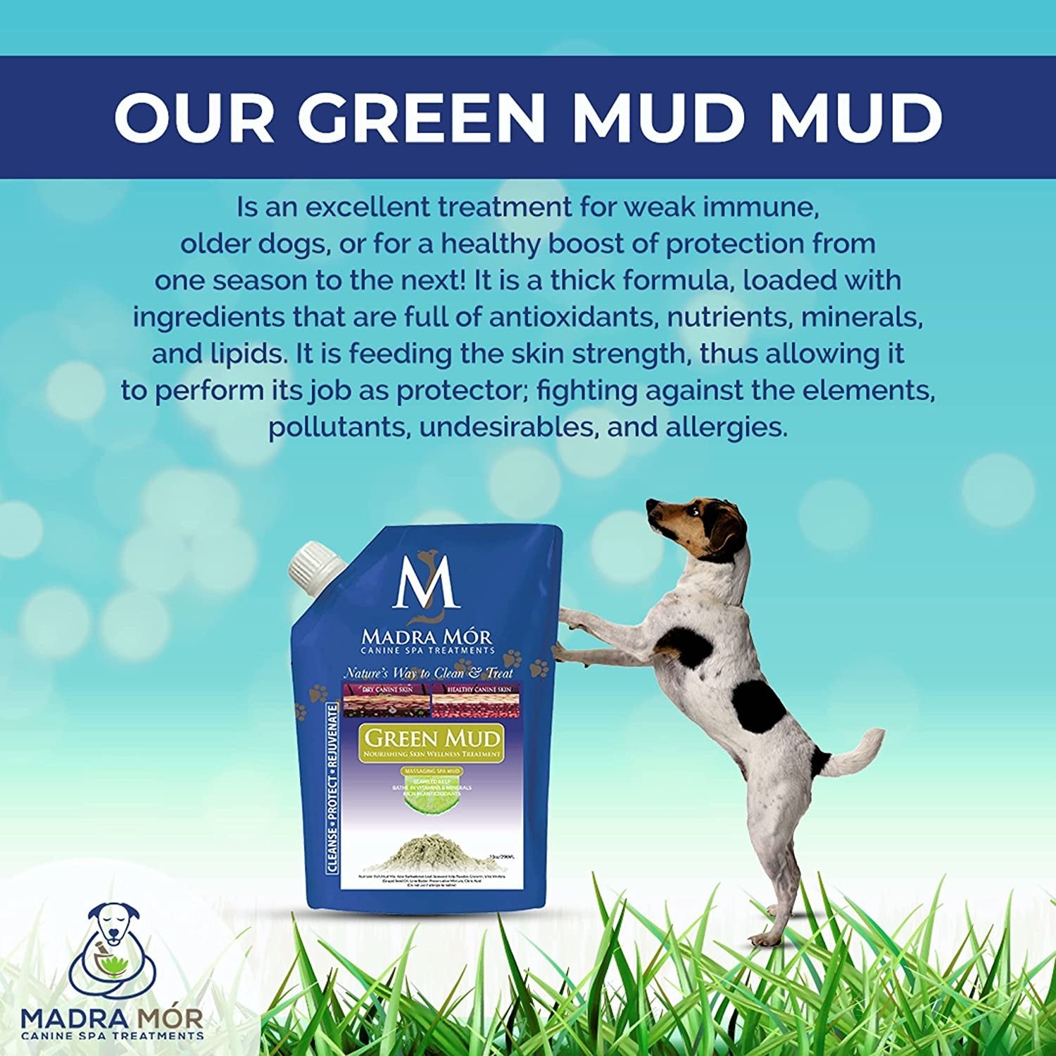 Madra Mor Massaging SPA Mud - Luxurious Dog Skin Wellness Treatment - Cleanse - Protect - Rejuvenate - Green Mud - 1 Pack (10oz) - with Multi-Purpose Key Chain